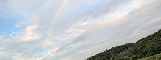 琉香さんの壁紙画像