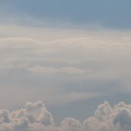 ごんさんのアイコン画像