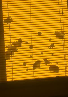 交換日記【れな以外見ちゃ行けません】