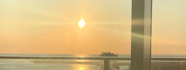 星月莉乃☕️🐨さんの壁紙画像