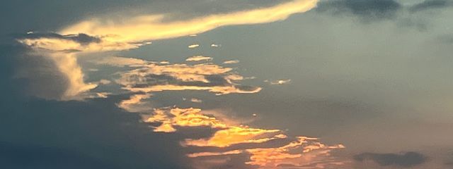 ぬっしさんの壁紙画像