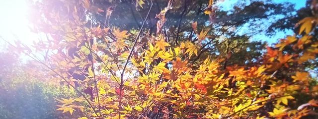 火冬さんの壁紙画像