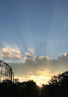 お隣さんは塩、時々砂糖