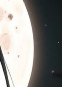 独歩の妹は、シンジュクNo.1ホストがお好きなようで…。