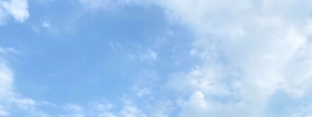 RITAさんの壁紙画像