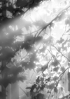 転生したら好感度マイナスだった