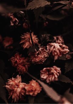 転生したら好感度マイナスだった