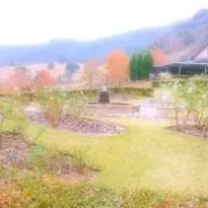 🐧💕さんのアイコン画像