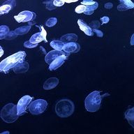 ななかさんのアイコン画像