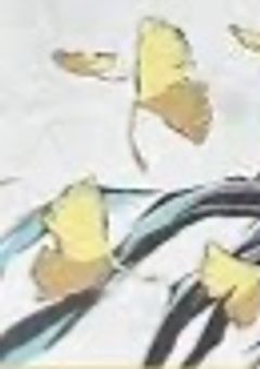 銀 杏 、舞 い 落 ち れ