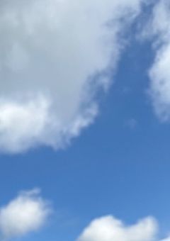 ＃　ちょ − ぜつ最悪な不仲コンビ