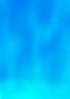 　＃．　研究内容 : 轟の生体