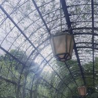 67さんのアイコン画像