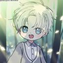ストレイ