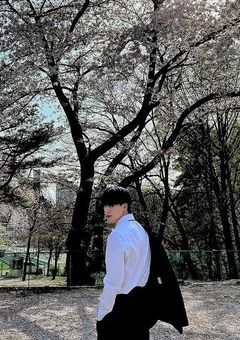 𝗣𝗥𝗢𝗠𝗜𝗦𝗘