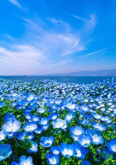 瓦礫学校の生徒たちは。《参加型》