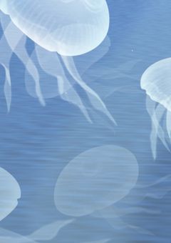 僕の夏休みは。絵を描く！