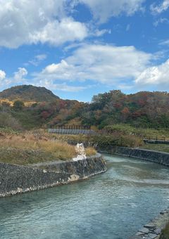 知らん部屋にいたので逃げた