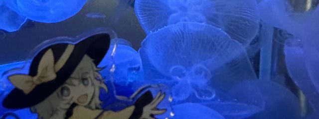 ✾スノードロップ✾　💔🪷⚰️　さんの壁紙画像