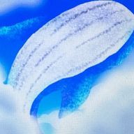 ✾スノードロップ✾さんのアイコン画像