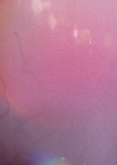 葡萄のもとに見えしとき