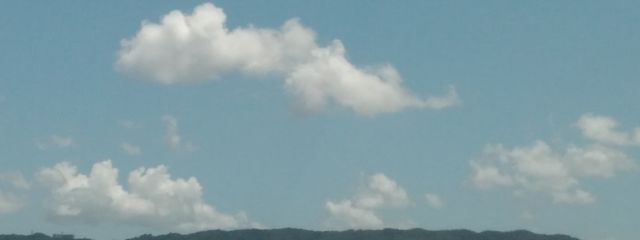 ひまわり🌻さんの壁紙画像
