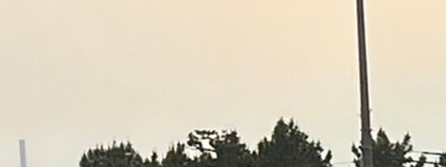 ｻﾎﾞﾃﾝ🌵🦜さんの壁紙画像