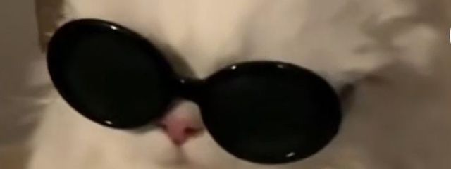 かっぱさんの壁紙画像