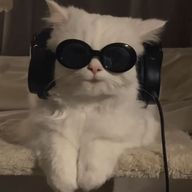 かっぱさんのアイコン画像