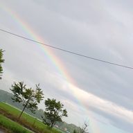 카린（かりん)さんのアイコン画像