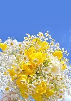 謙杜の彼女はナムドルオタです！