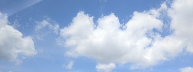 えりこさんの壁紙画像