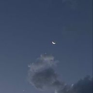 ivyさんのアイコン画像