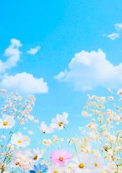 百花繚乱