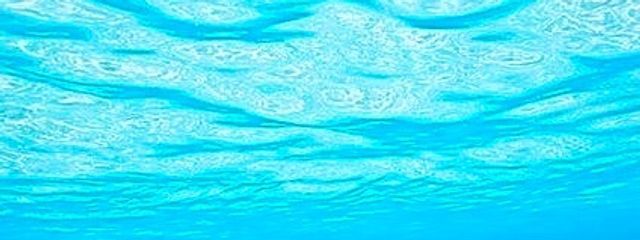 　　sakanaさんの壁紙画像