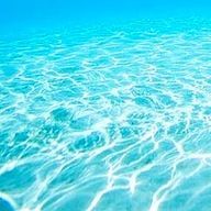 　　sakanaさんのアイコン画像