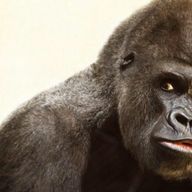 A,丫さんのアイコン画像