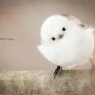yuaさんのアイコン画像