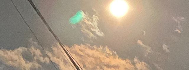 🐷🐮🐷🐮さんの壁紙画像