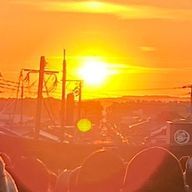 スノウさんのアイコン画像