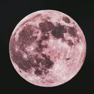 WOWさんのアイコン画像