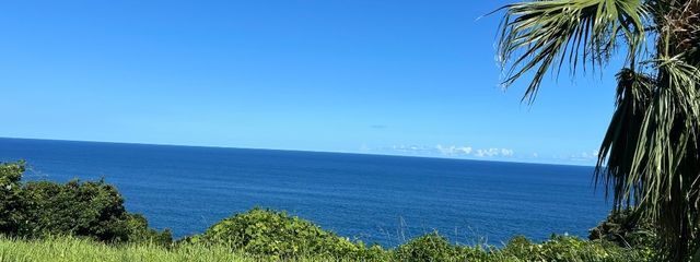 みーさんの壁紙画像