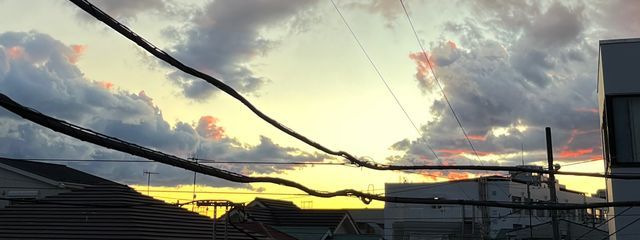 紫月 さんの壁紙画像