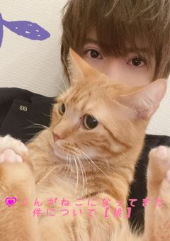 💗くんがねこになってきた件について【桃】