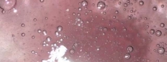 ゆずさんの壁紙画像