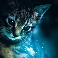 弱酸性　@🍣さんのアイコン画像