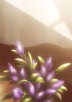 3 人 の 物 語