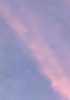 　『☆推奨』　ほーこく !!