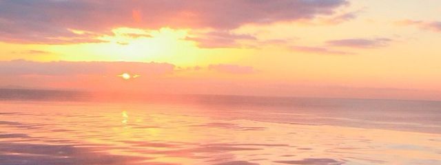 丸山菖蒲【フォロセ中】さんの壁紙画像