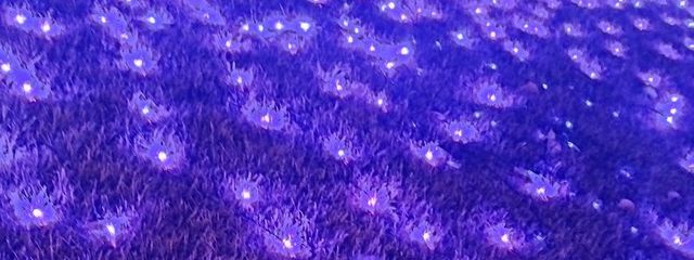 雨音🪷さんの壁紙画像